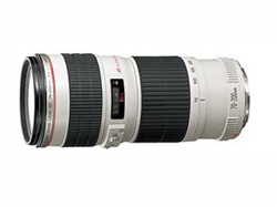 Canon 70-200mm EF f/4L USM - Condition 8.5