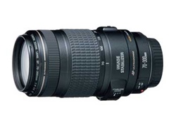 Canon 70-300mm EF f/4-5.6 IS USM - Condition 9