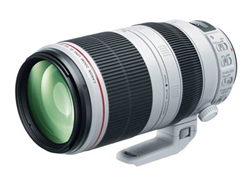 Canon EF 100-400mm f/4.5-5.6L IS USM lens