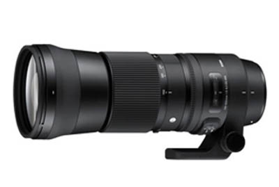 Sigma 150-600mm | DG Lens | Sigma Contemporary Lens